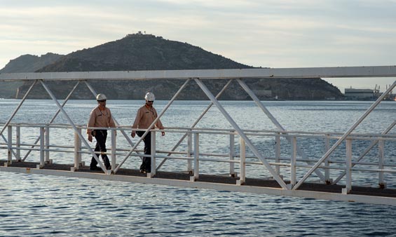 Two people on a bridge over water