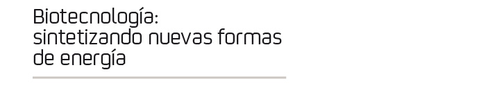 Biotecnología: sintetizando nuevas formas de energía