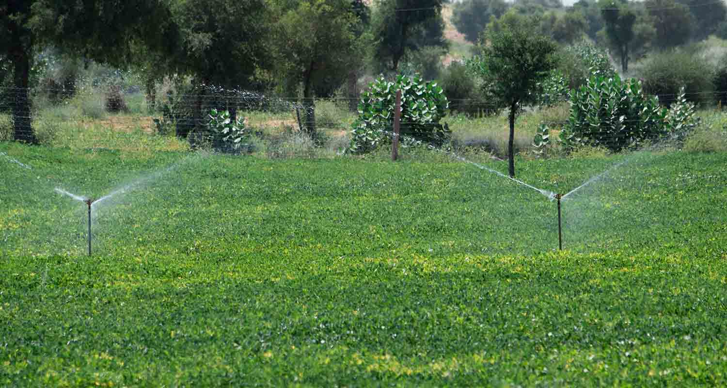 Communities and shared value. View of a field watered by sprinklers