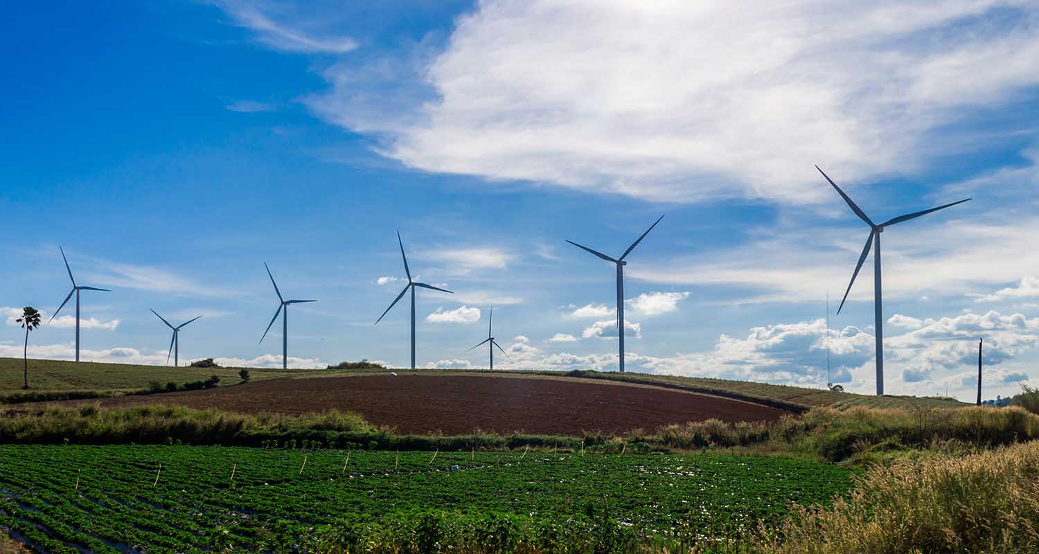 Instalación eólica al atardecer