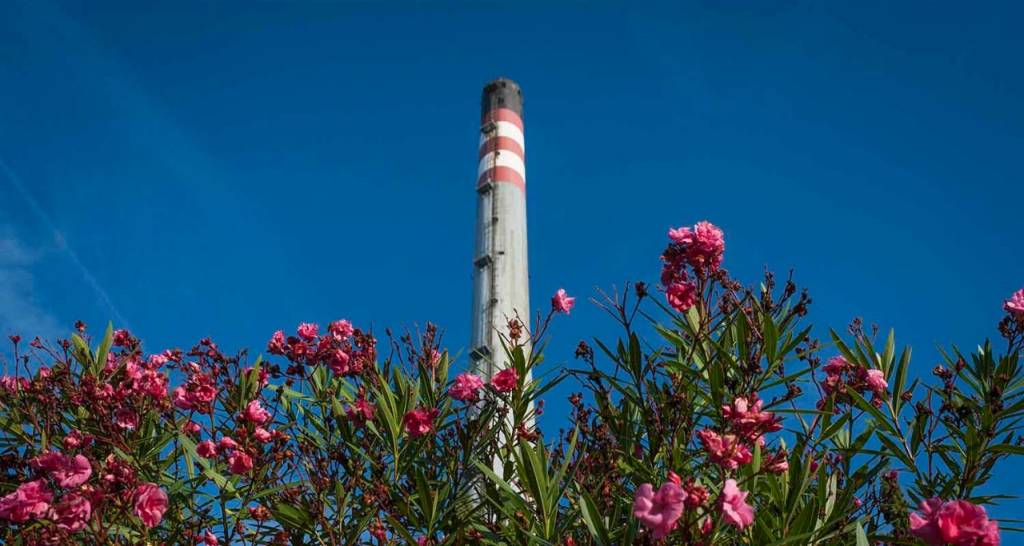 Complex well with flowers