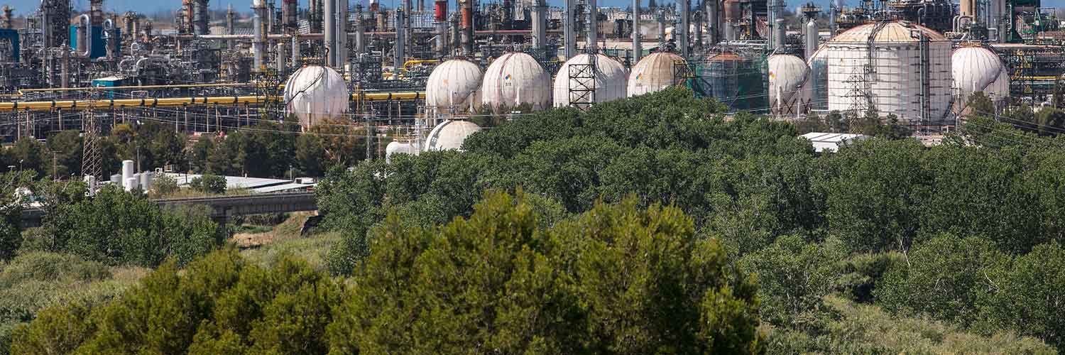 Trees with a refinery in the background